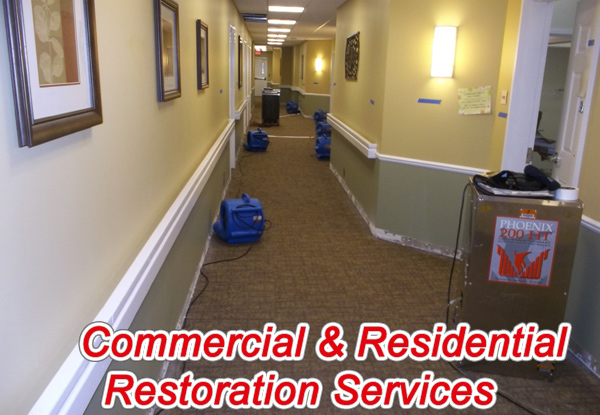 basement flood cleanup near me in Port Chester , New York 