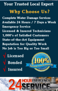 Disaster Cleanup in Utah